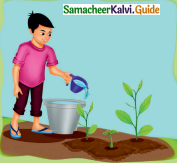 Samacheer Kalvi 4th English Guide Term 1 Prose Chapter 2 Do it yourself 31