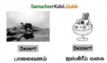 Samacheer Kalvi 4th English Guide Term 1 Prose Chapter 2 Do it yourself 9