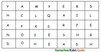 Samacheer Kalvi 4th Science Guide Term 1 Chapter 1 my body 16
