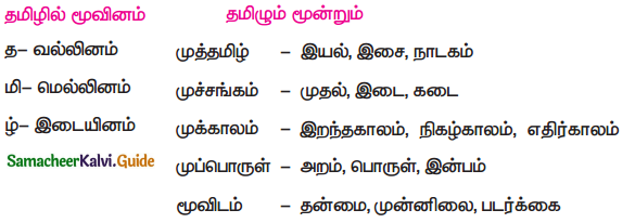 Samacheer Kalvi 4th Tamil Guide Chapter 15 ஆராய்ந்திட வேண்டும் 3