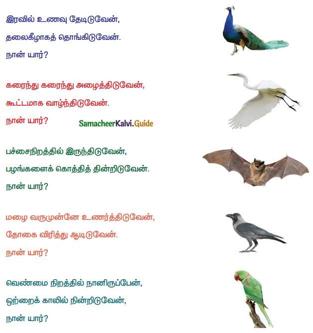 Samacheer Kalvi 4th Tamil Guide Chapter 21 காட்டுக்குள்ளே பாட்டுப்போட்டி 1