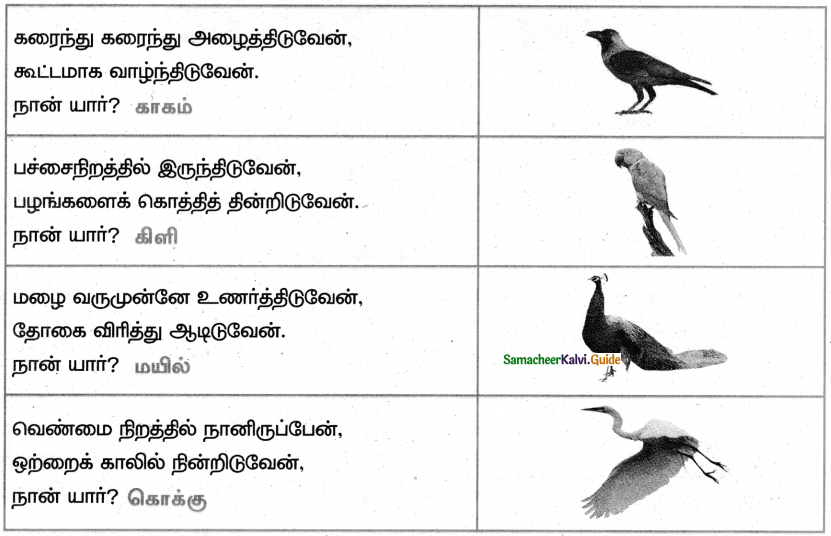 Samacheer Kalvi 4th Tamil Guide Chapter 21 காட்டுக்குள்ளே பாட்டுப்போட்டி 3