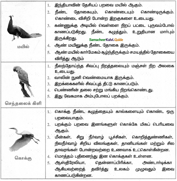 Samacheer Kalvi 4th Tamil Guide Chapter 21 காட்டுக்குள்ளே பாட்டுப்போட்டி 5