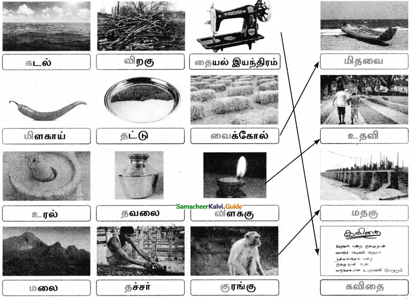 Samacheer Kalvi 4th Tamil Guide Chapter 22 ஆனந்தம் விளையும் பூமியடி 4