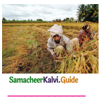 Samacheer Kalvi 5th English Guide Term 1 Supplementary Chapter 2 The Farmer and his Daughters 7