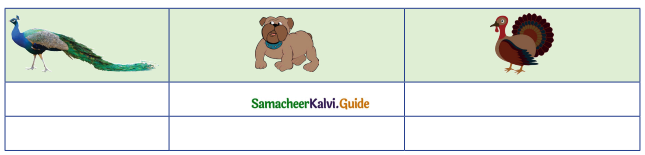 Samacheer Kalvi 5th English Guide Term 1 Supplementary Chapter 3 The Legend of Jaswantgarh 8
