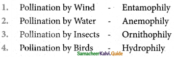 Samacheer Kalvi 5th Science Guide Term 2 Chapter 3 Plants 4