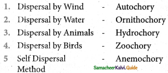 Samacheer Kalvi 5th Science Guide Term 2 Chapter 3 Plants 6