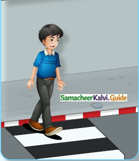 Samacheer Kalvi 8th English Guide Prose Chapter 5 Being Safe 1