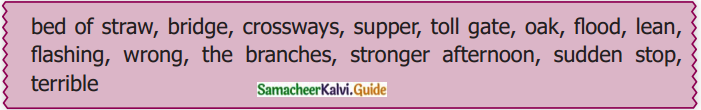 Samacheer Kalvi 8th English Guide Supplementary Chapter 5 When Instinct Works 2
