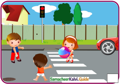 Samacheer Kalvi 8th English Guide Supplementary Chapter 5 When Instinct Works 9