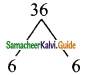 Samacheer Kalvi 9th Maths Guide Chapter 3 Algebra Ex 3.6 11