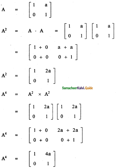 Samacheer Kalvi 11th Maths Guide Chapter 7 Matrices and Determinants Ex 7.1 13