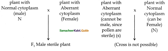 Samacheer Kalvi 12th Bio Botany Guide Chapter 2 Classical Genetics 38