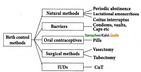 Samacheer Kalvi 12th Bio Zoology Guide Chapter 3 Reproductive Health 2