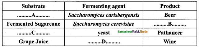 Samacheer Kalvi 12th Bio Zoology Guide Chapter 8 Microbes in Human Welfare 5