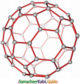 Samacheer Kalvi 12th Chemistry Guide Chapter 2 p-Block Elements – I 27