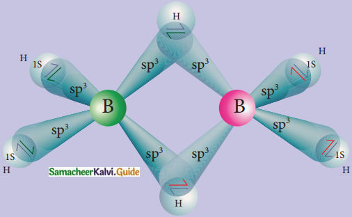 Samacheer Kalvi 12th Chemistry Guide Chapter 2 p-Block Elements – I 5