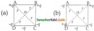Samacheer Kalvi 12th Physics Guide Chapter 1 Electrostatics 162
