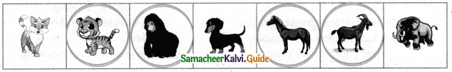 Samacheer Kalvi 4th English Guide Term 1 Poem Chapter 3 voyage 7