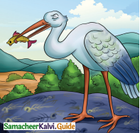 Samacheer Kalvi 4th English Guide Term 3 Supplementary 3 The Magic pencil 10