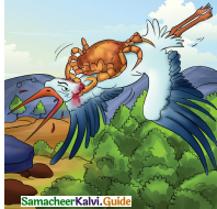 Samacheer Kalvi 4th English Guide Term 3 Supplementary 3 The Magic pencil 12