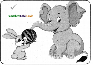 Samacheer Kalvi 5th English Guide Term 2 Supplementary Chapter 1 The Two Pigeons 3
