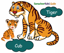 Samacheer Kalvi 5th English Guide Term 3 Prose Chapter 3 The Monster Tree 11