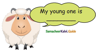 Samacheer Kalvi 5th English Guide Term 3 Prose Chapter 3 The Monster Tree 18