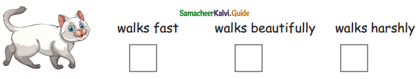 Samacheer Kalvi 5th English Guide Term 3 poem 1 Why Questions 13