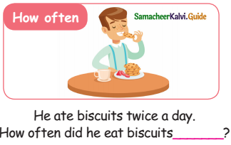 Samacheer Kalvi 5th English Guide Term 3 poem 1 Why Questions 9