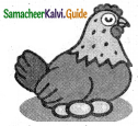Samacheer Kalvi 5th English Guide Term 3 poem 2 The Dreamer 13