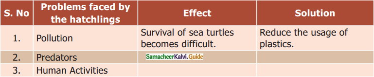 Samacheer Kalvi 6th English Guide Term 1 Prose Chapter 1 Sea Turtles 14