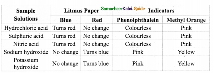 Samacheer Kalvi 9th Science Guide Chapter 14 Acids, Bases and Salts 4