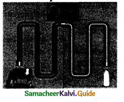 Samacheer Kalvi 9th Science Guide Chapter 21 Nutrition and Health 3