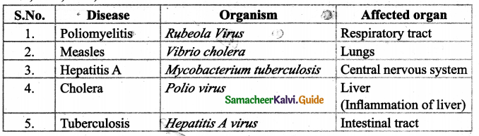 Samacheer Kalvi 9th Science Guide Chapter 22 World of Microbes 6