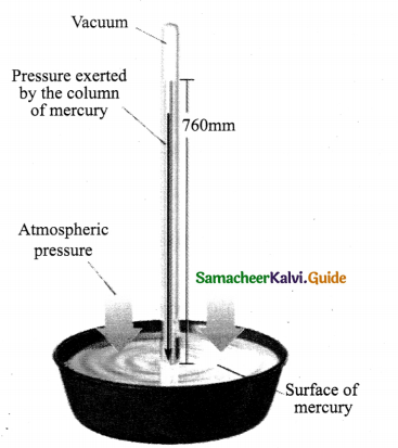 Samacheer Kalvi 9th Science Guide Chapter 3 Fluids 1