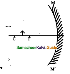 Samacheer Kalvi 9th Science Guide Chapter 6 Light 1