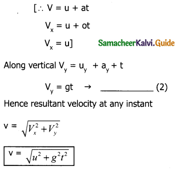 Samacheer Kalvi 11th Physics Guide Chapter 2 Kinematics 101