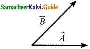 Samacheer Kalvi 11th Physics Guide Chapter 2 Kinematics 19