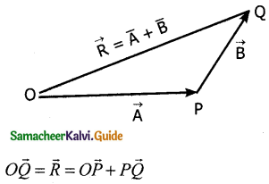 Samacheer Kalvi 11th Physics Guide Chapter 2 Kinematics 20