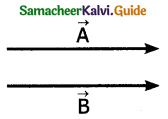 Samacheer Kalvi 11th Physics Guide Chapter 2 Kinematics 86