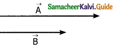 Samacheer Kalvi 11th Physics Guide Chapter 2 Kinematics 87