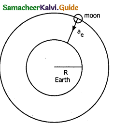Samacheer Kalvi 11th Physics Guide Chapter 3 Laws of Motion 27