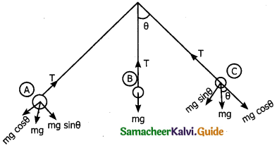 Samacheer Kalvi 11th Physics Guide Chapter 3 Laws of Motion 39