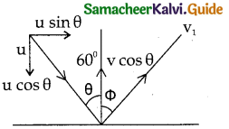Samacheer Kalvi 11th Physics Guide Chapter 4 Work, Energy and Power 19