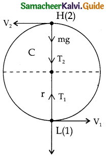 Samacheer Kalvi 11th Physics Guide Chapter 4 Work, Energy and Power 46