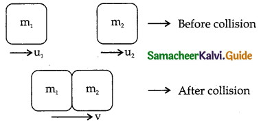 Samacheer Kalvi 11th Physics Guide Chapter 4 Work, Energy and Power 52
