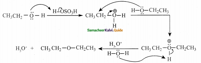 Samacheer Kalvi 12th Chemistry Guide Chapter 11 Hydroxy Compounds and Ethers 101