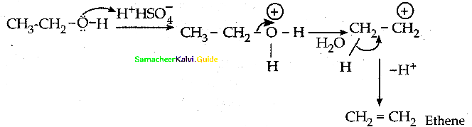 Samacheer Kalvi 12th Chemistry Guide Chapter 11 Hydroxy Compounds and Ethers 28